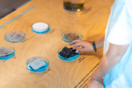 FranzFerdinandRichter