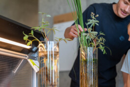 FranzFerdinandRichter