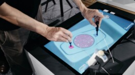 FranzFerdinandRichter